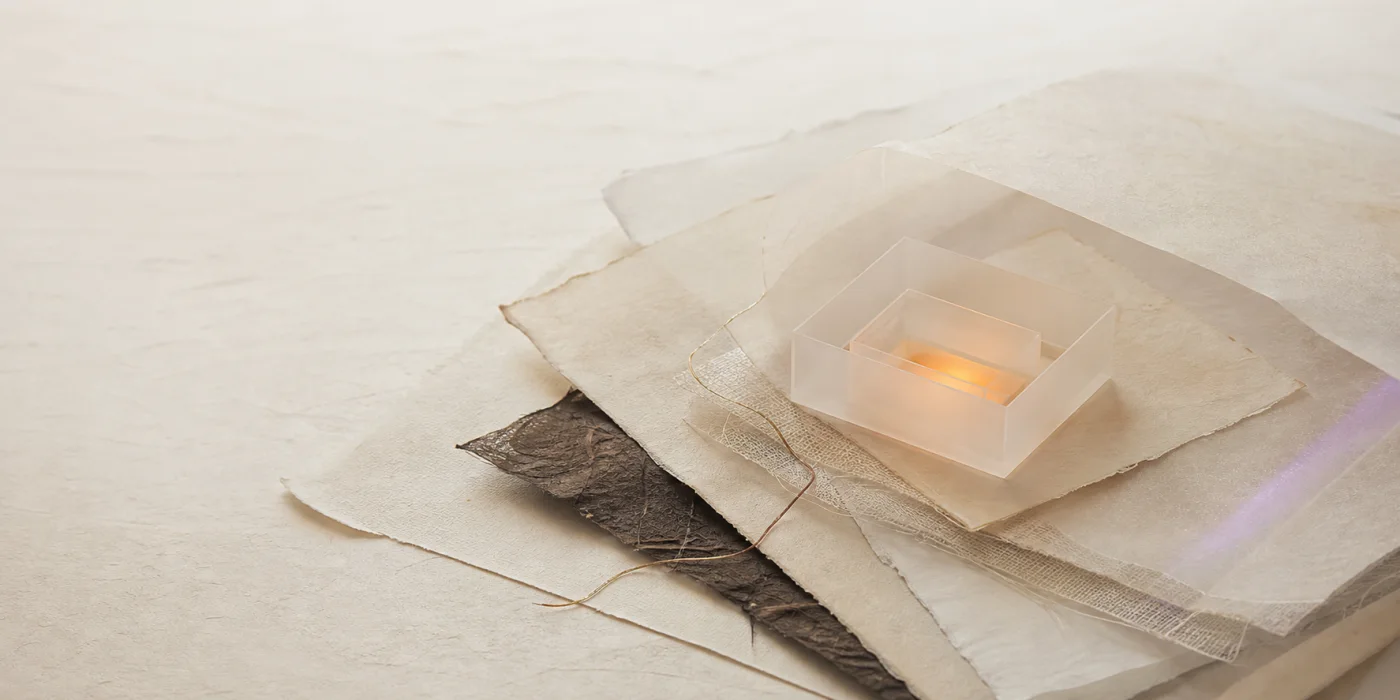 Camadas de papel, fibras e material translúcido representando cuidado e proteção de informações